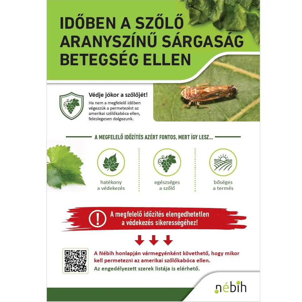 Tegyen időben az aranyszínű sárgaság betegség ellen